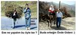 önde gideni...